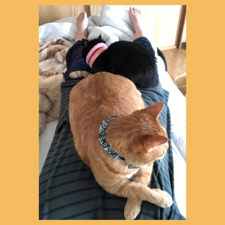 A9160b16 334c 4297 a997 2ca10283fba0 1588800919556