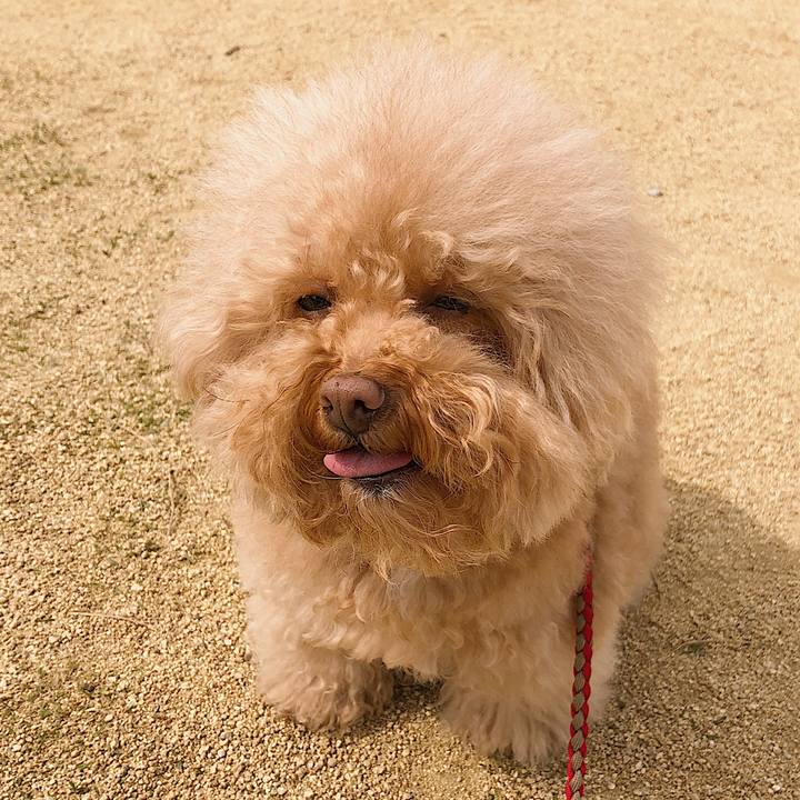 A91632b1 75b5 42b6 9dfb a0ec1a55437d 1554504028974