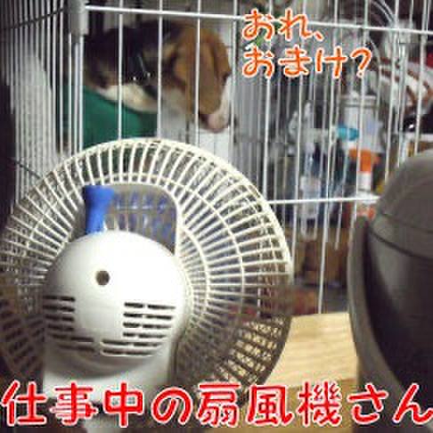 A91656b1 d7eb 45b0 ba46 fed71cb2e389 1722299630809