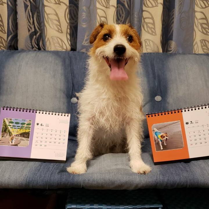 A9166962 c845 49dd 8e7e 0d7fff4ff7b0 1593558728541