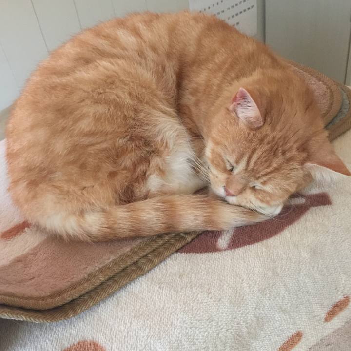 A916907e b028 4d37 9e19 fb566d7b386b 1554510551199