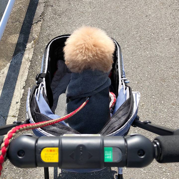 A916dcd9 e94d 4172 8d27 af26c248bebc 1519356667386