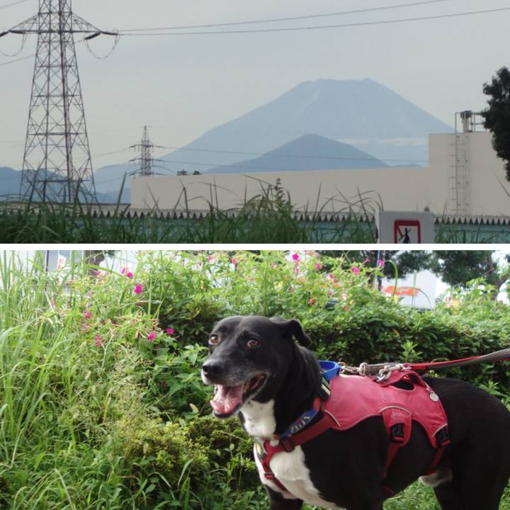 A916f9e0 912c 4527 af7d 12bc1f757e9c 1695517255528