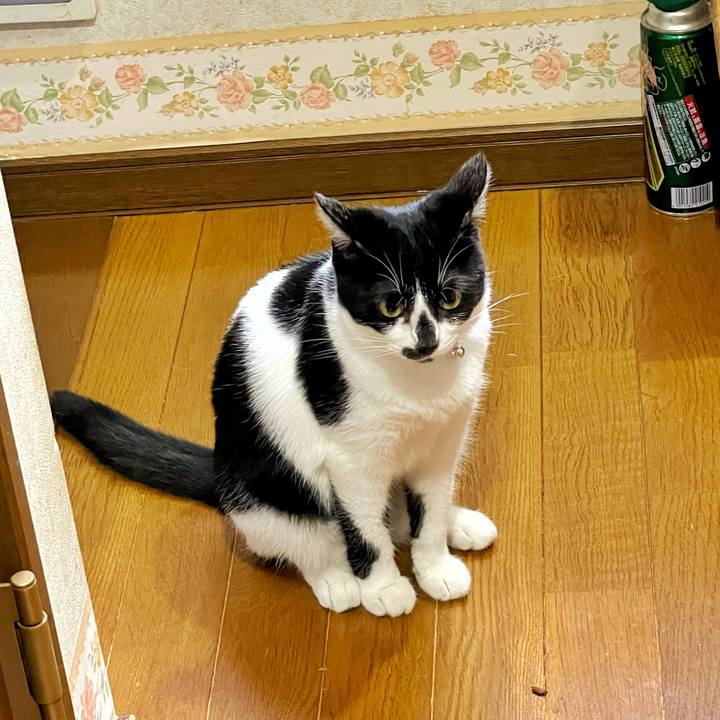 A91739b1 fa69 497a 88ab 07d304a5e437 1722984712415