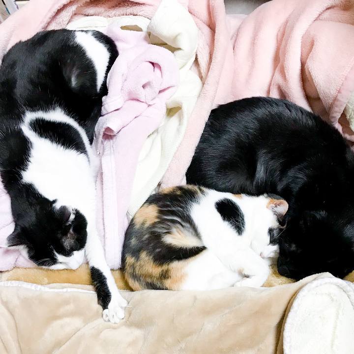 A9175d76 c62c 48c6 bfae f0aa62e44a0e 1514764509612