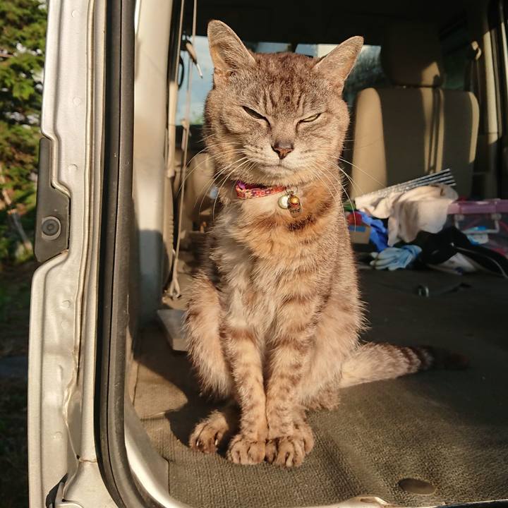 A9177414 3f91 4ca2 87ad fd49b648dfdf 1592599542952