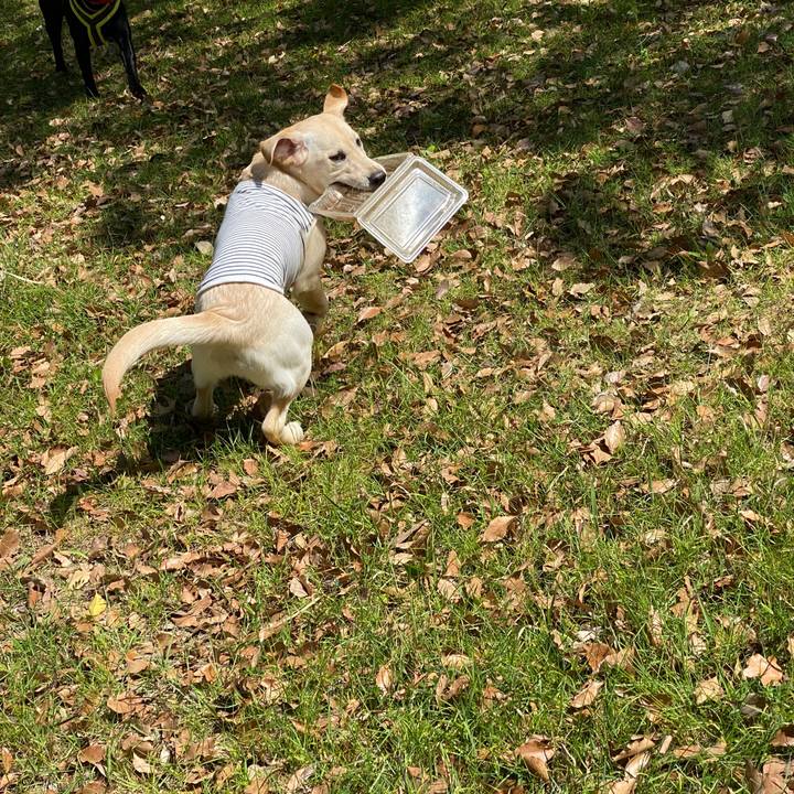 A917f2b1 4704 4d98 814e 6592d66bf1af 1619333552131