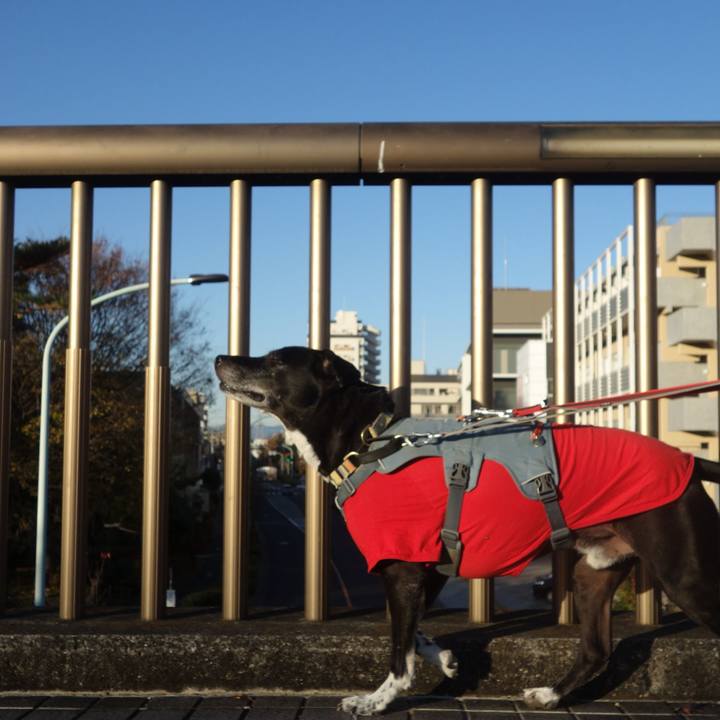 A9180c96 0280 417b 84bc f4a5f6c8344c 1734745036028