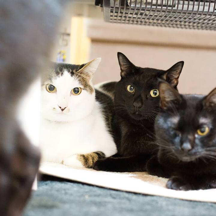 A9182c7f 74f0 4ef8 af10 083933bc0565 1547558772809