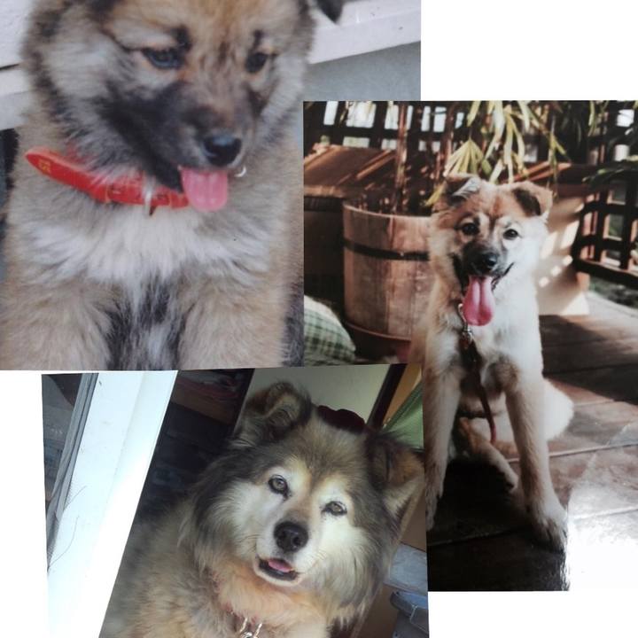 A918411f fb47 4ce5 ac2e 50d9ba074f75 1584146658496