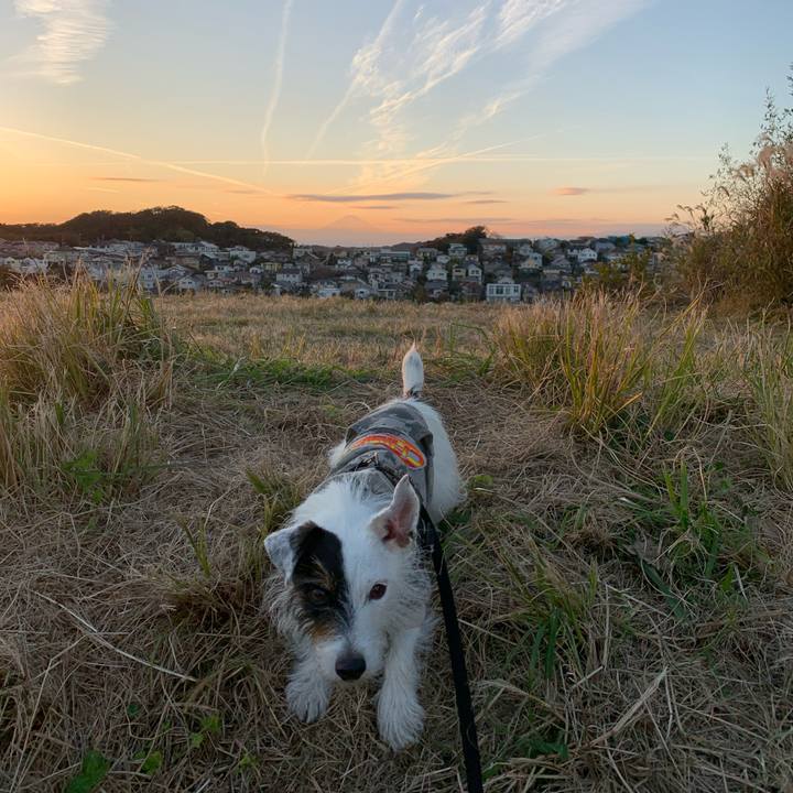 A9184733 57fc 4065 b2d2 ea6860828547 1669362445568