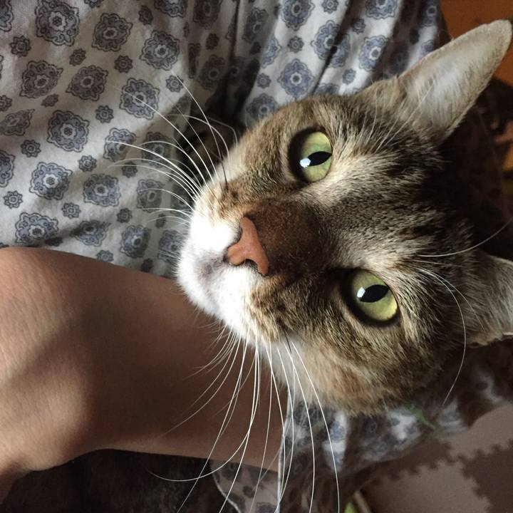 A9185d1a 6857 451f a0aa 4fae8f9e91a3 1537999425674