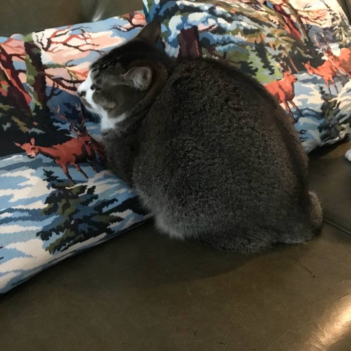 A91862bf 8e22 4619 9261 8a4a430c71b6 1515227257994