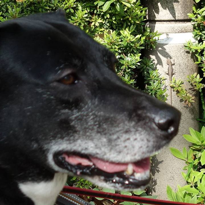 A9189f92 049e 4d7b a941 2078f163bca1 1714094434849