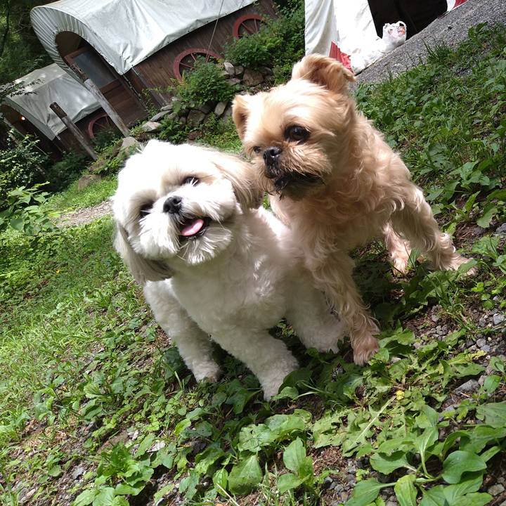 A918af09 7508 4d63 932c 652d4ef2e67e 1658546752438