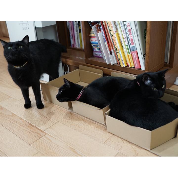 A918b3cd 61a5 423e 9479 a6530acde40a 1559207324656