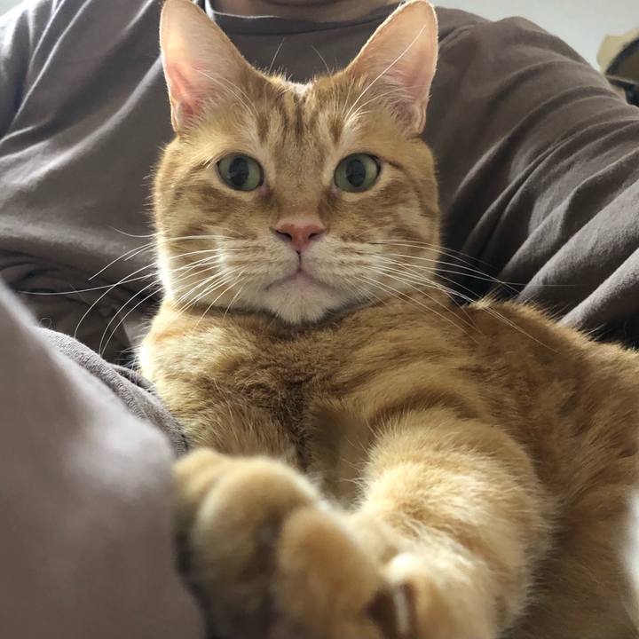 A918b65a 7840 4b28 a184 1923e90b612f 1607685350872