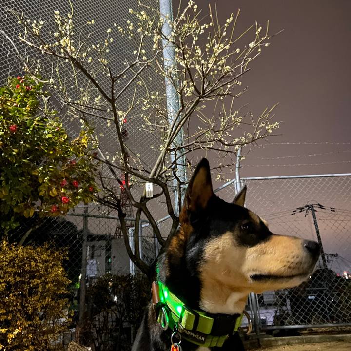 A918ec22 dd73 4bb1 8c09 d2ee9501cb03 1614423909138