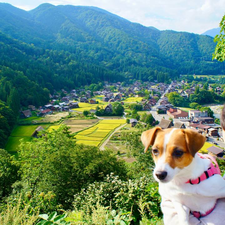 A919307b a71c 4387 b83a 89ab339ba566 1759673350755