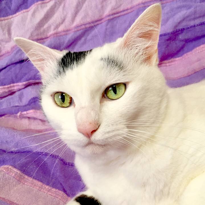 A91949ca 5dd5 4393 9897 cff89253a4b2 1562820610863