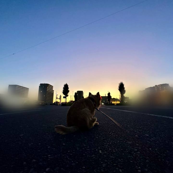 A91955bd 2ad7 4b35 a80b d8a9b900290a 1731073097995