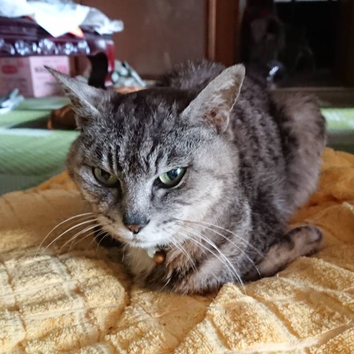 A91965a7 d1e2 4bb4 b2d2 930b746d2dee 1594249911854