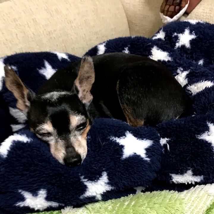 A919a595 541a 4567 9c5a 2540d630327f 1577006522556