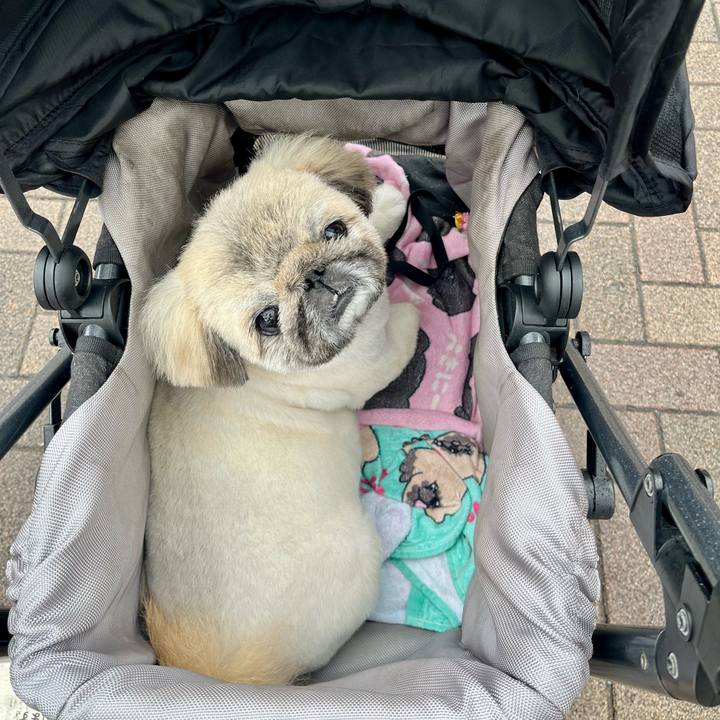 A919de7e ef4f 4ef5 98e2 4781bd520f81 1743652233116