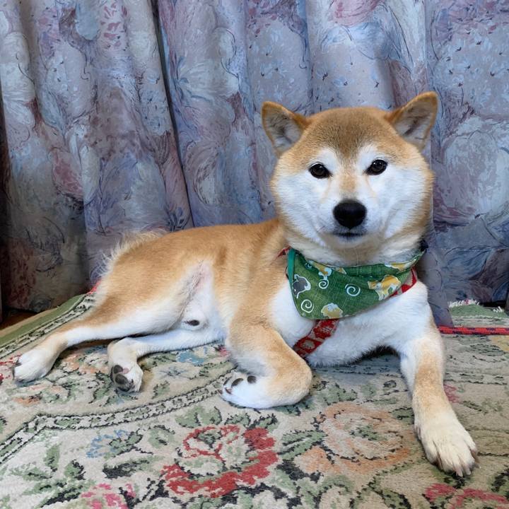 A91a1ff6 8e18 4f3f a6b1 f13f2a7cb8e1 1592561509136