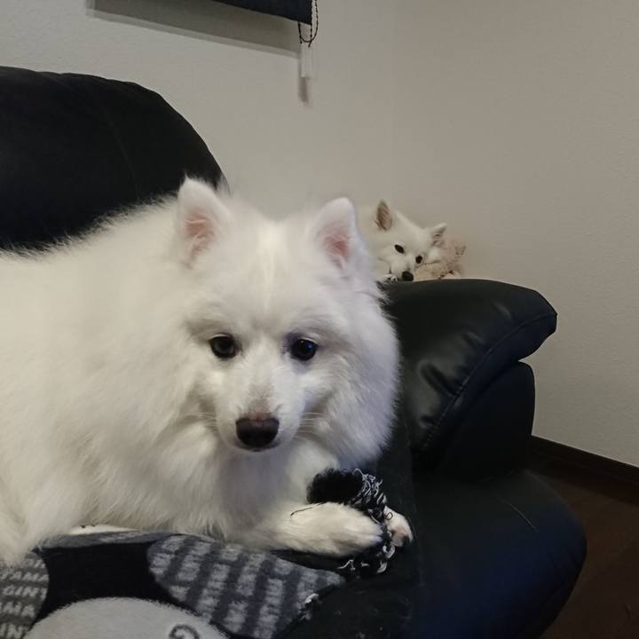 A91a2e71 1f1b 469f 83b0 580ea8e741ca 1561987262052