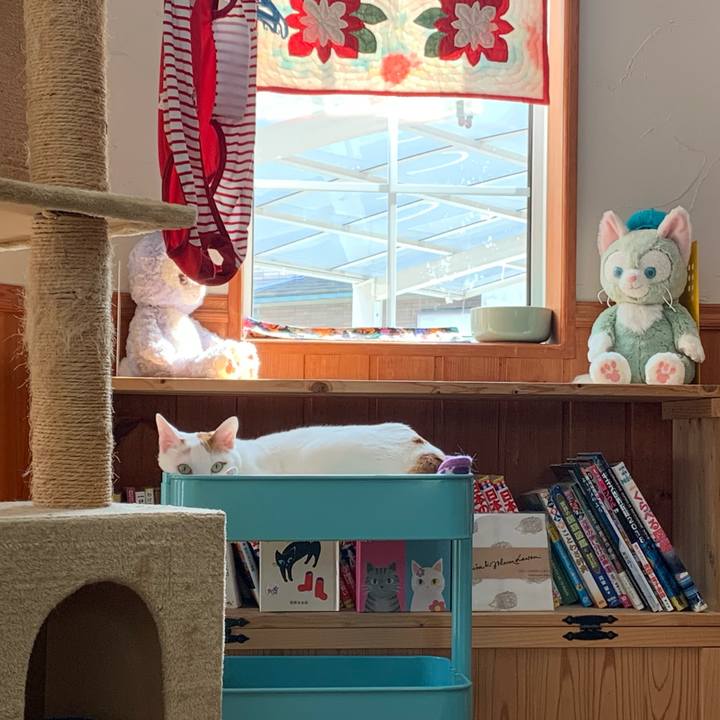 A91a57c9 62d2 4330 85df 2dda7d7cedef 1587795874076