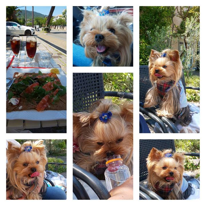 A91a5c9e e145 4237 9279 2a2ba4a494af 1654333720584