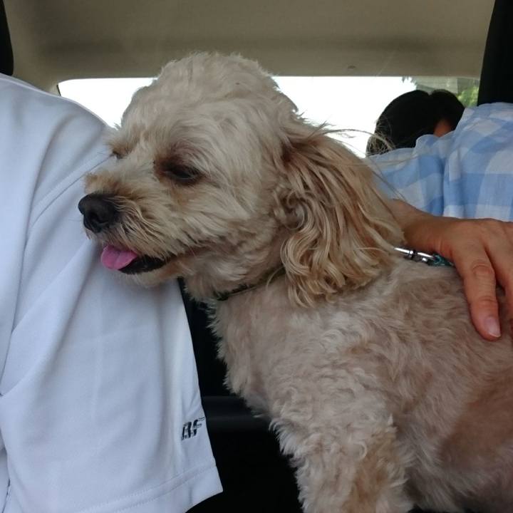 A91a8fe5 5e7e 4419 97be f62d46672289 1534575240771