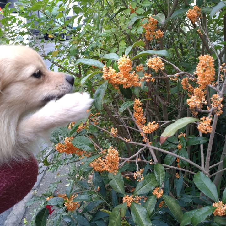 A91acae0 9c18 40fa 8b0b 52df14fb3be4 1761361400059