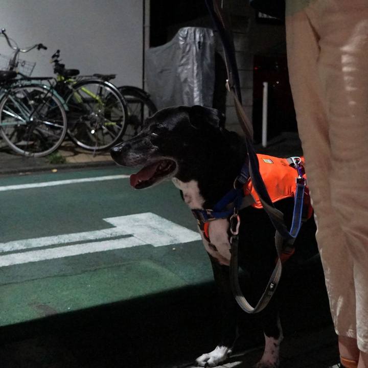 A91ad731 8ed6 4abf 8361 234ed716e182 1757933949372