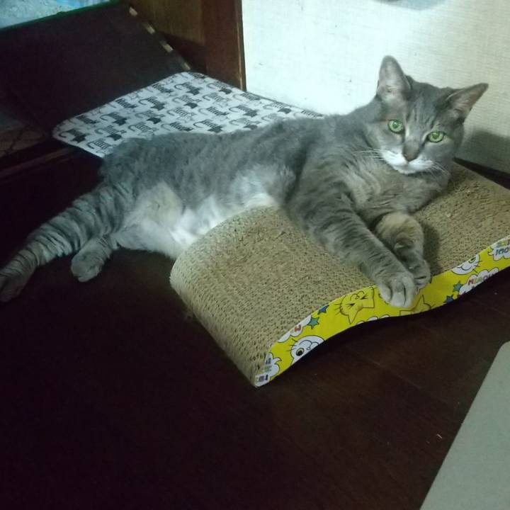 A91ad807 7dff 485b a3d7 0bbc0c17adec 1660381333589