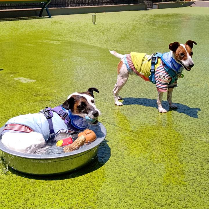 A91ad89c 6d93 47b7 b913 fe66a4181c7a 1656411384868