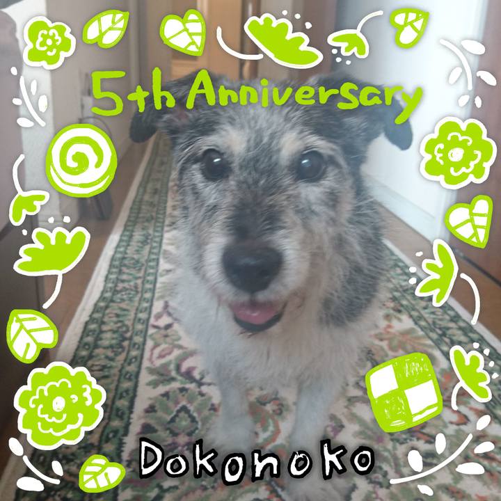 A91ae402 99a8 4e61 8308 9cc1de4eea44 1622945979802