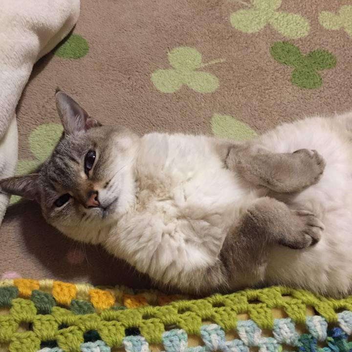 A91aec82 b23a 4dea 9fc4 d7a9aa7799cc 1551786107768