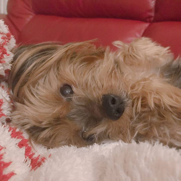 A91b0800 e157 425f 845c ad3f6c31ade2 1578876880620