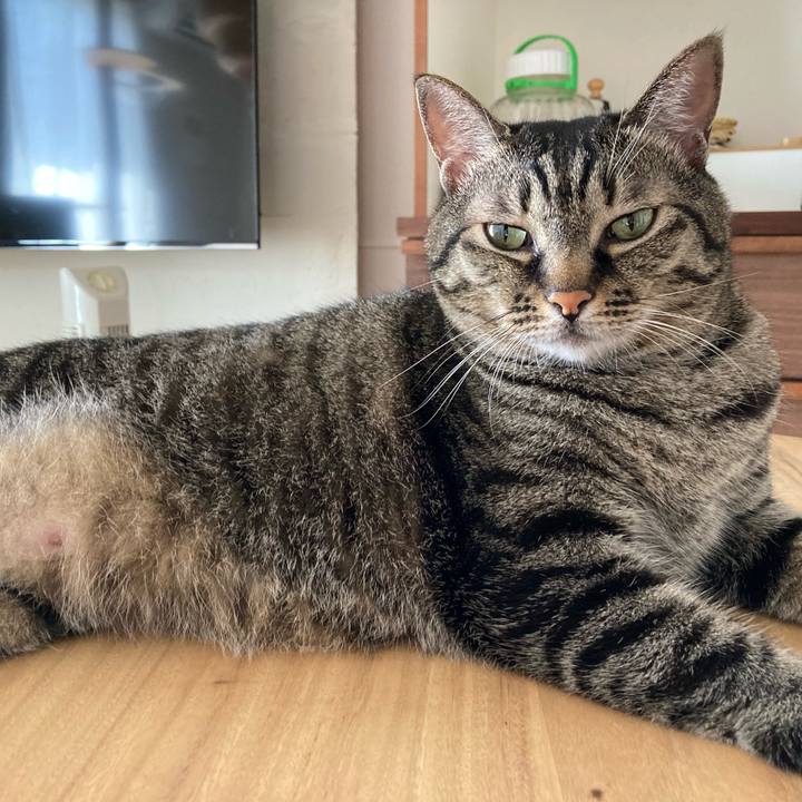 A91b4065 ffbc 44bd 9765 9ece185466ef 1626477857972