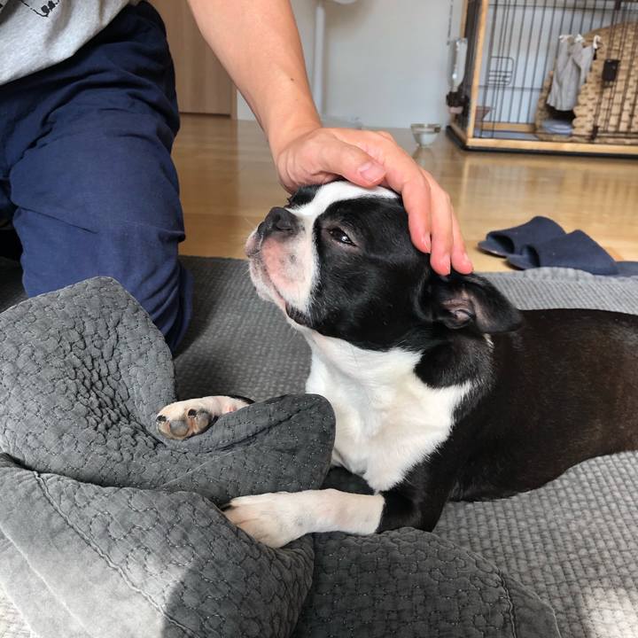 A91b42d1 a3fb 40d1 8f47 1e8814819b44 1564711055082