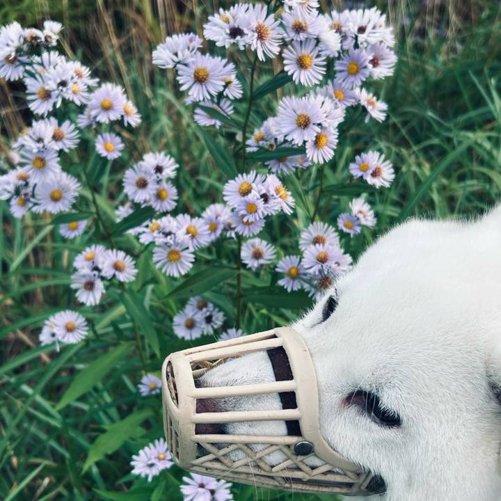 A91b9067 1773 40ba be28 c0b2b2cc043a 1759094573825