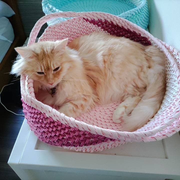 A91bc391 eee8 416a af0f 6949f2def5d2 1691359792284