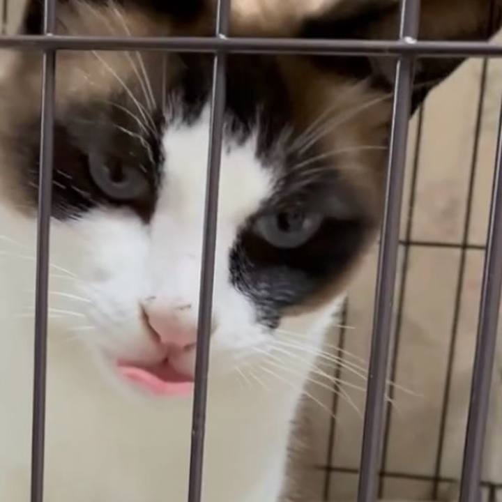 A91bcd57 5839 417a 9b70 6dabfbb0f24e 1750039103155