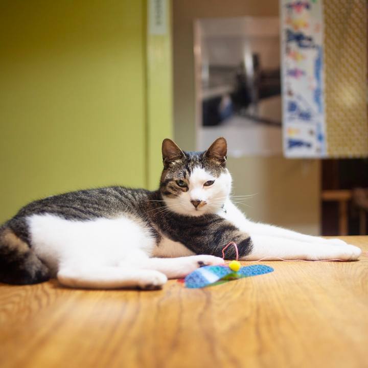 A91bcf2a 5119 42f9 9b13 5819596d8596 1594830887792