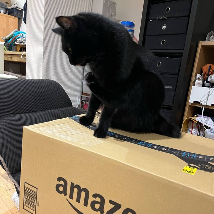 A91bdd32 2e9d 4300 8266 2ba11d53dd71 1696931846817