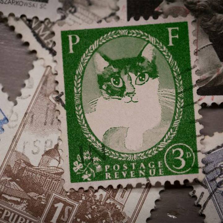 A91be0bf b707 4bdf 9c32 7e9c60a0bdd9 1529183334472