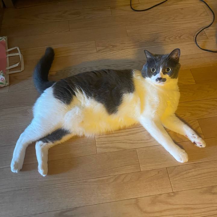 A91bf519 3464 4c2e a511 e50d8386854a 1755302299025