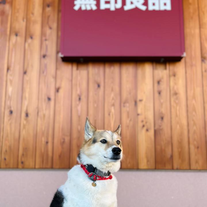 A91bf8c1 99b0 4231 be46 d18c12a094a4 1772069658429